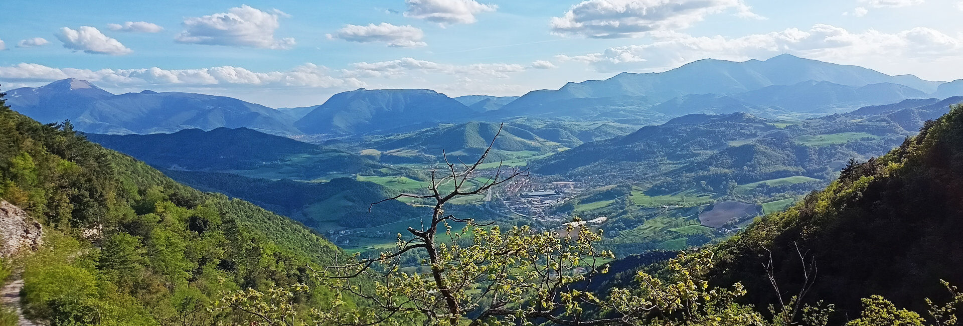 Calendario settimanale attività