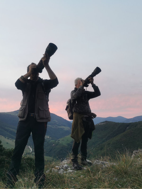 birdwatchingfurlo4