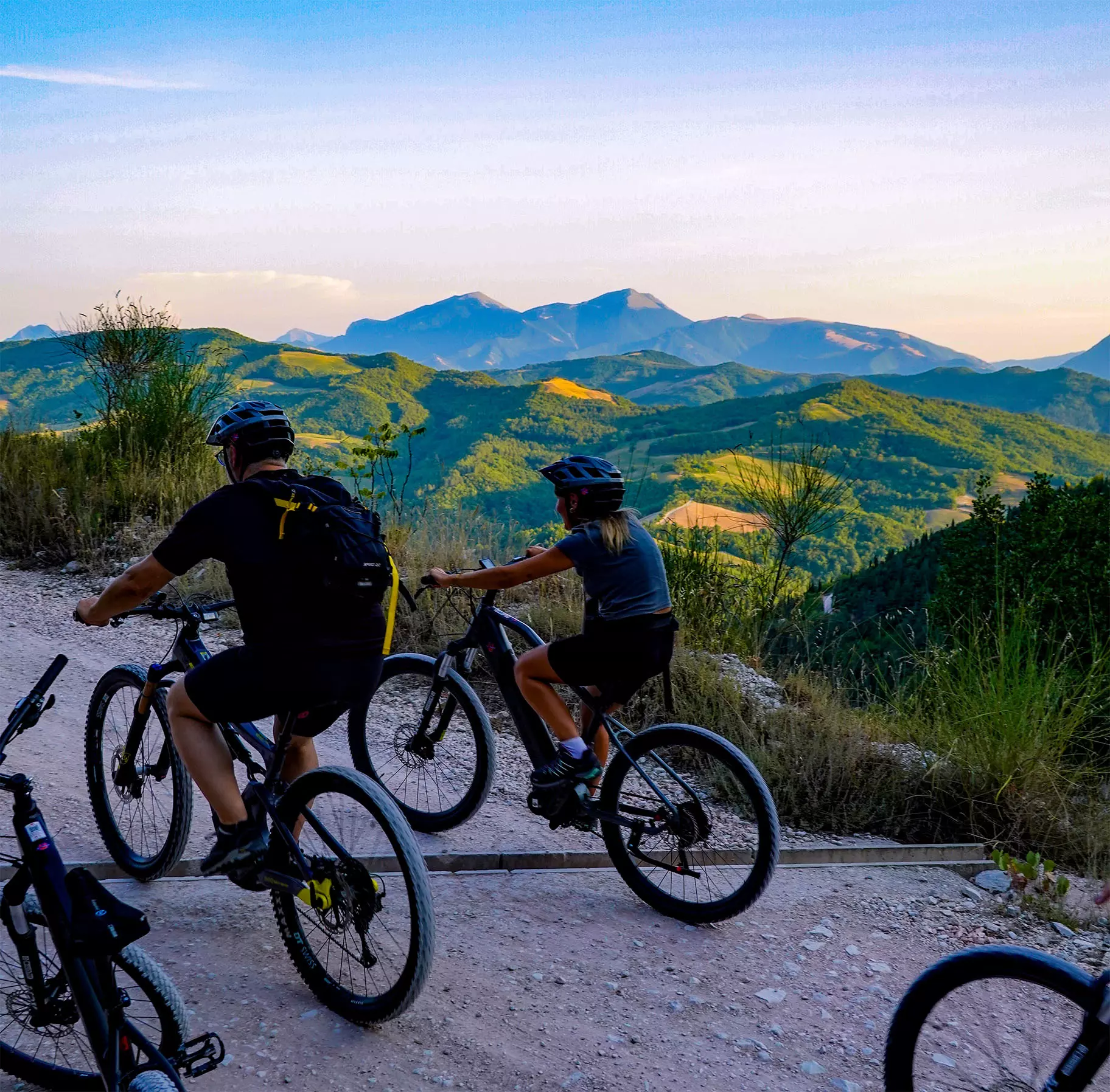 ebike vette